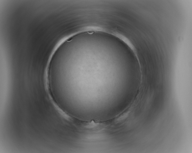 X0000114131056200910081240