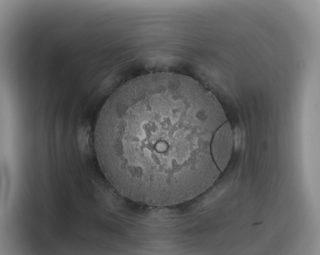 X0000114131059200910081240