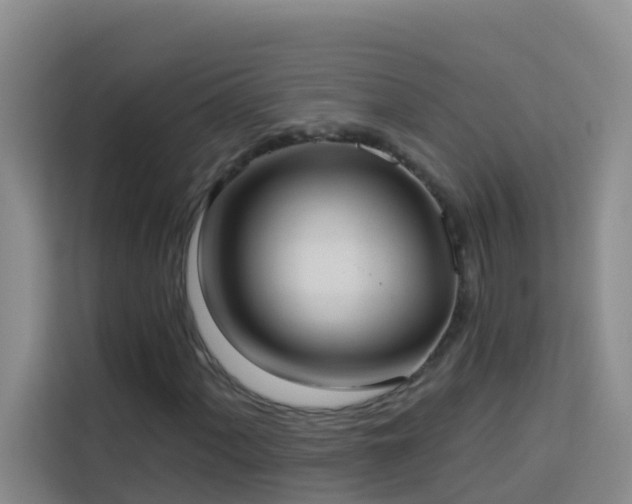X0000114131060200910081240