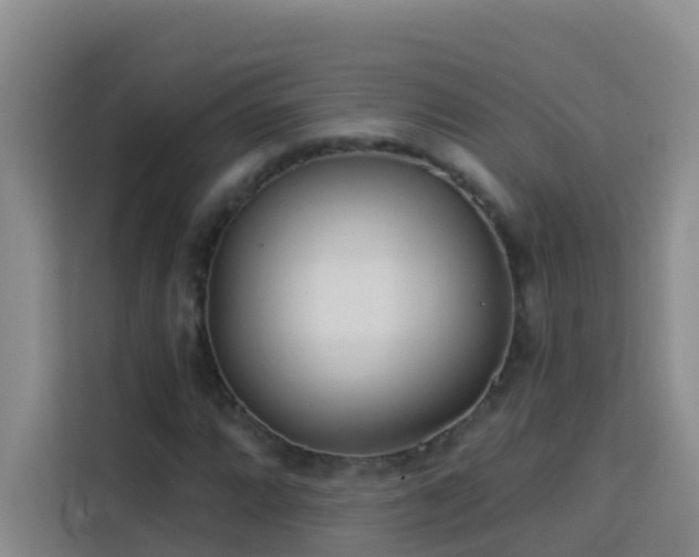 X0000114131064200910081240