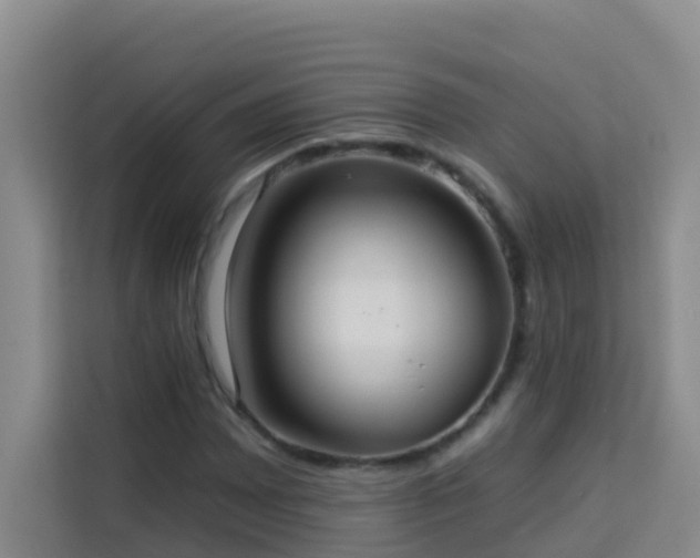 X0000114131065200910081240