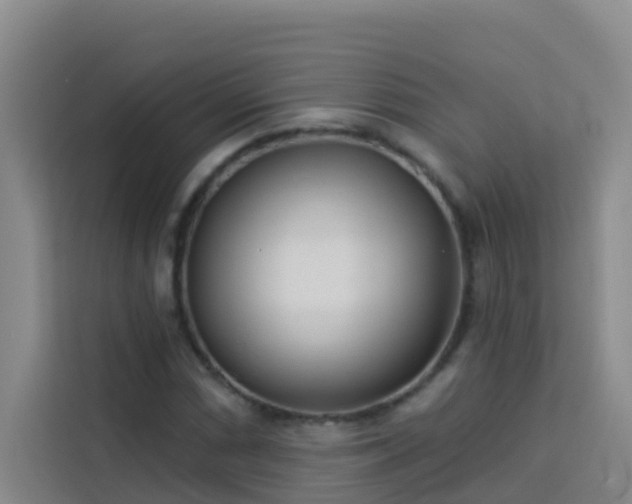 X0000114131066200910081240