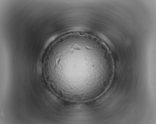 X0000114131067200910081240