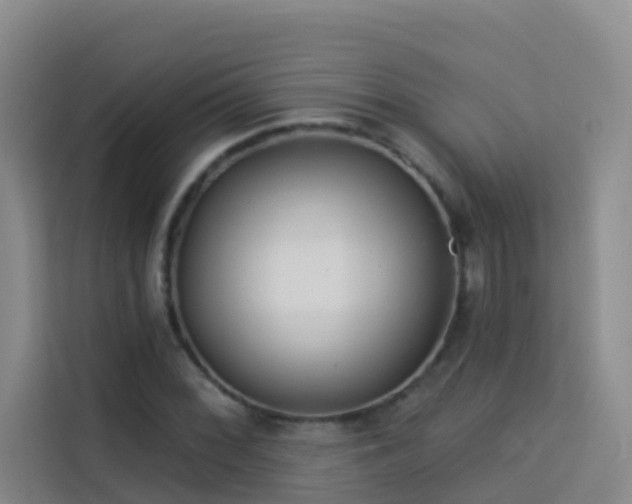 X0000114131068200910081240