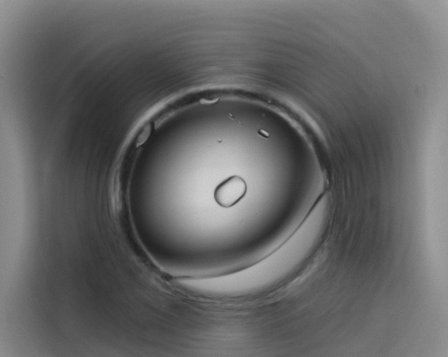 X0000114131069200910081240