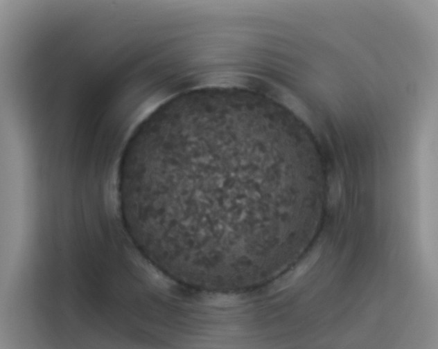 X0000114131071200910081240