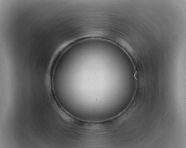 X0000114131072200910081239