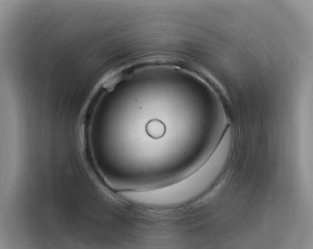 X0000114131075200910081239