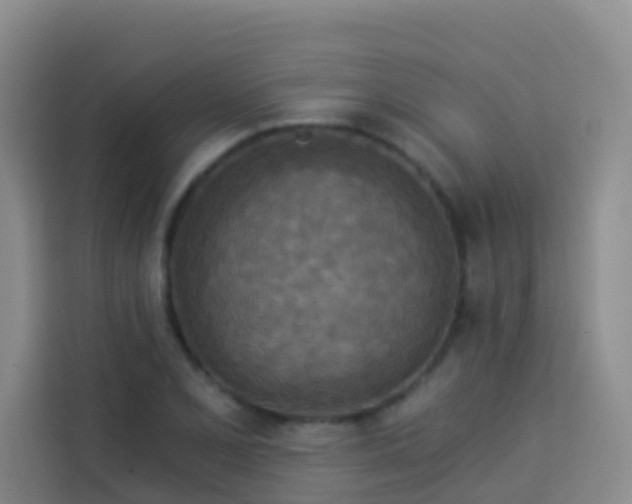 X0000114131077200910081239
