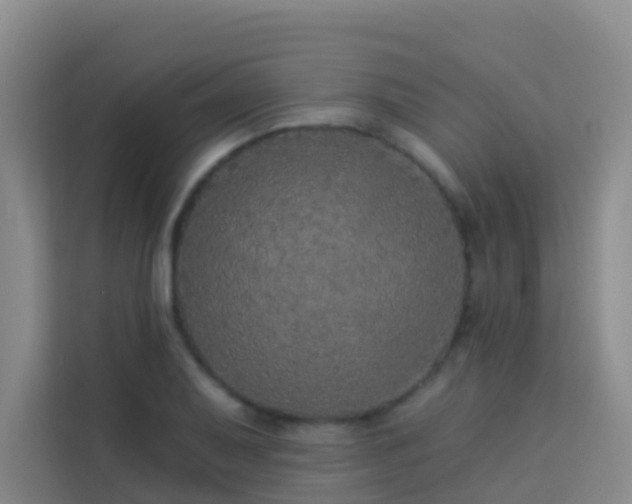 X0000114131079200910081239