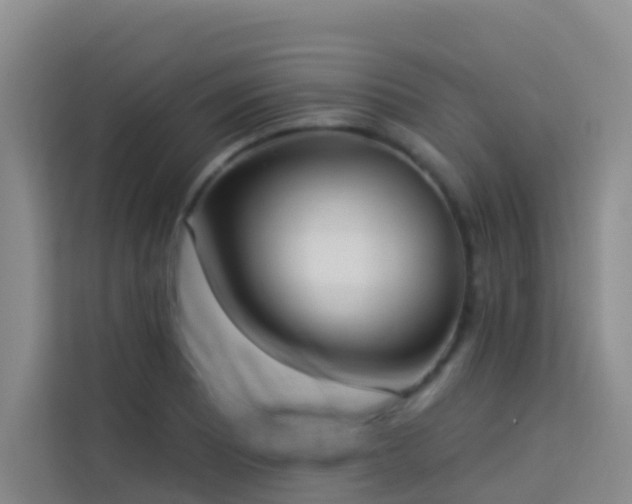 X0000114131081200910081239