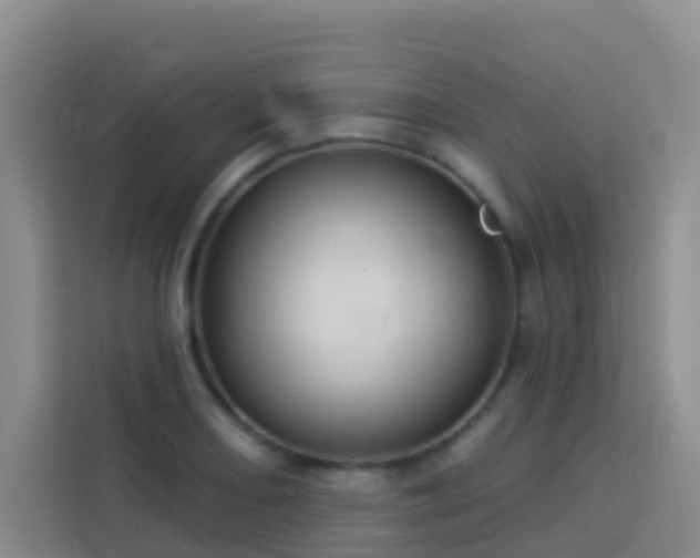 X0000114131082200910081239