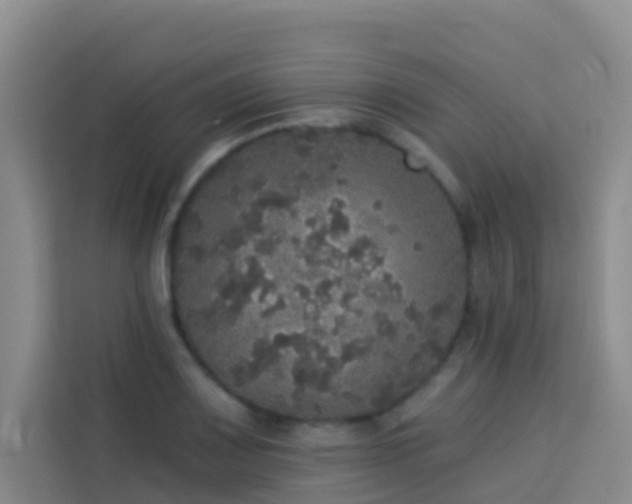 X0000114131083200910081239
