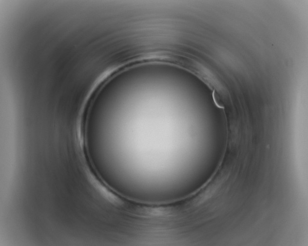 X0000114131084200910081239