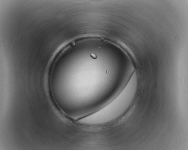 X0000114131085200910081239