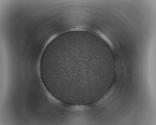 X0000114131087200910081239