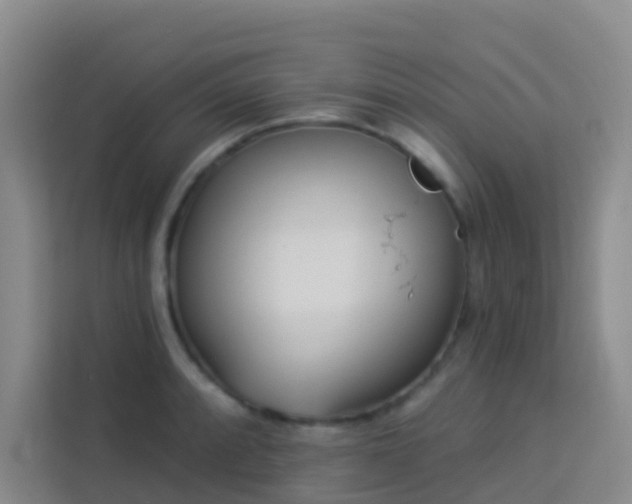 X0000114131088200910081239