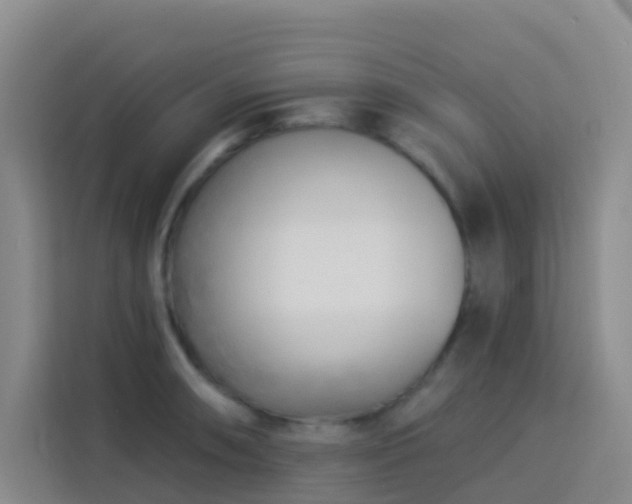X0000114131090200910081239