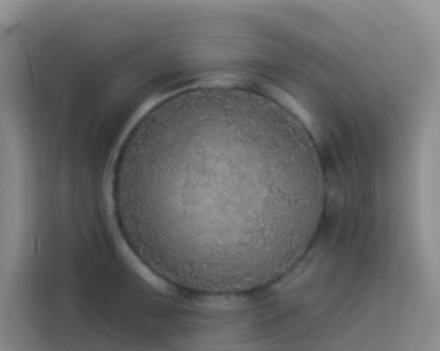 X0000114131091200910081239