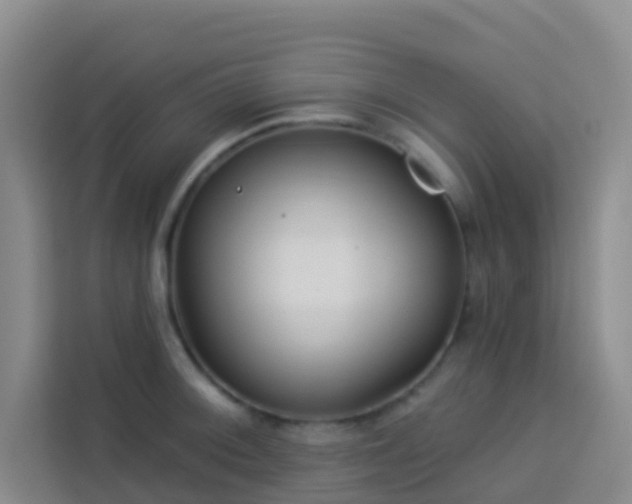 X0000114131092200910081239