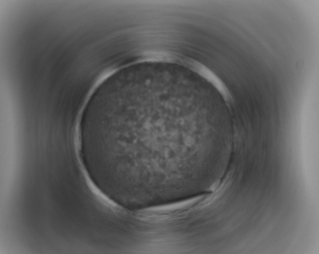 X0000114131095200910081239