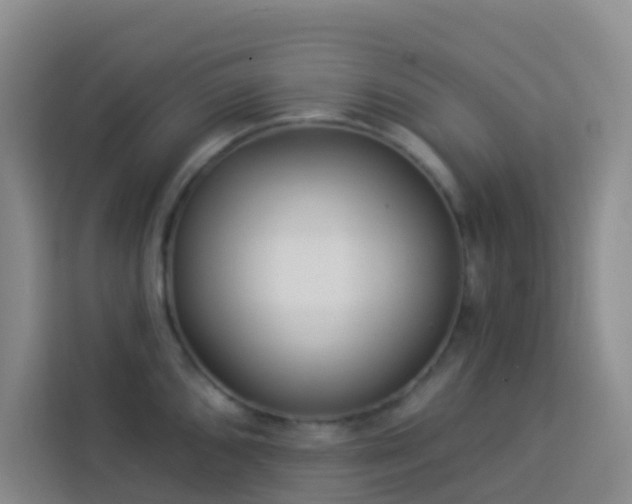 X0000114131096200910081239