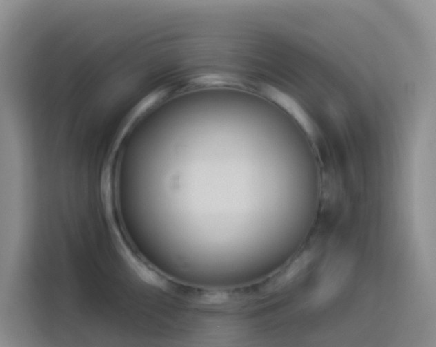X0000114131098200910081239