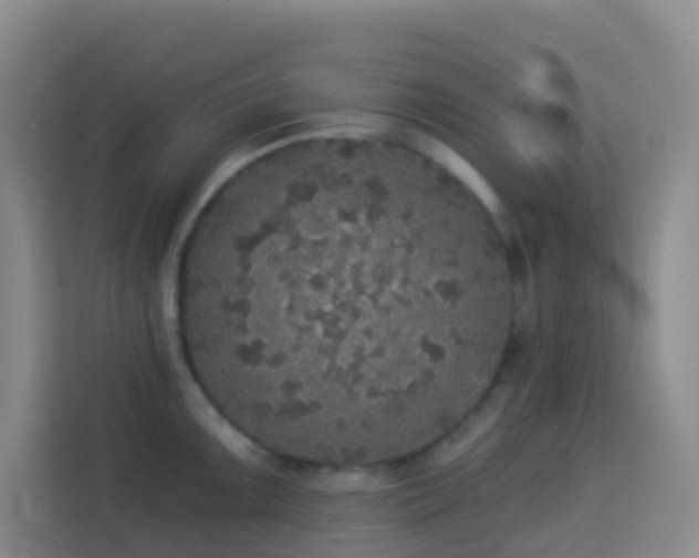 X0000114131099200910081239