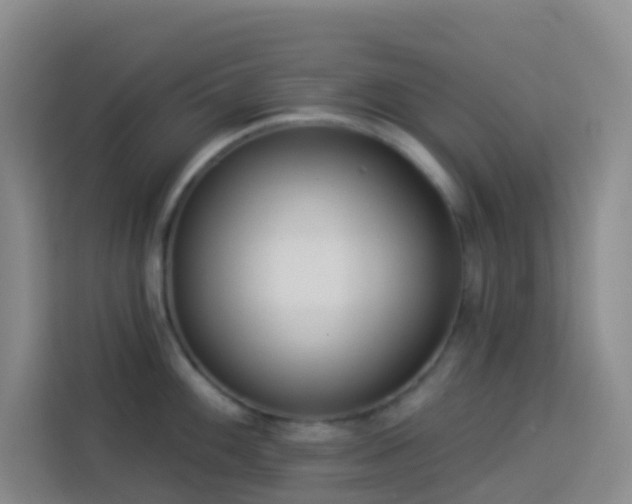 X0000114131100200910081239
