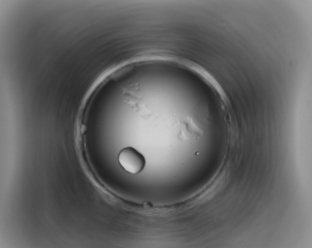 X0000114131101200910081239