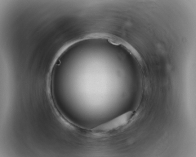 X0000114131102200910081239