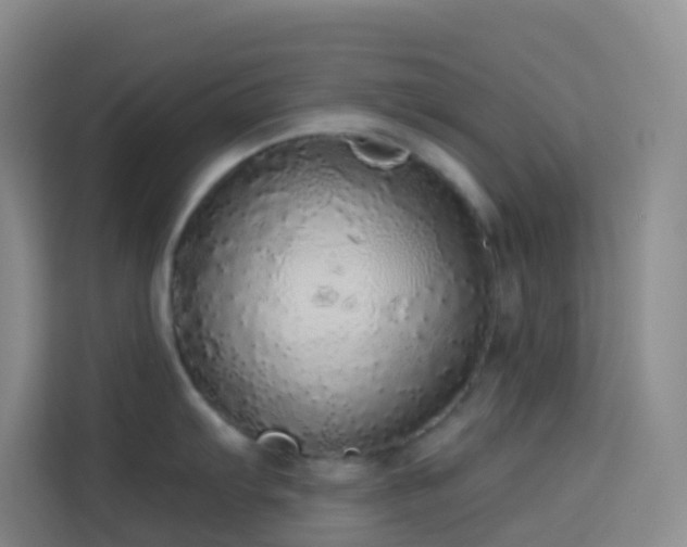 X0000114131103200910081239