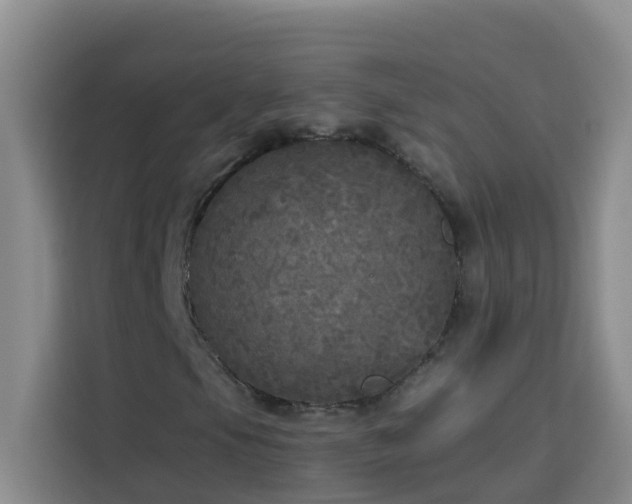 X0000114131105200910081238