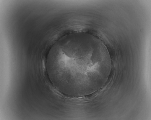 X0000114131106200910081238