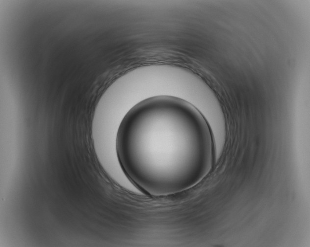X0000114131108200910081238