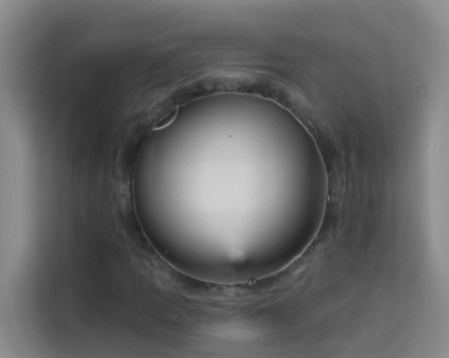X0000114131109200910081239