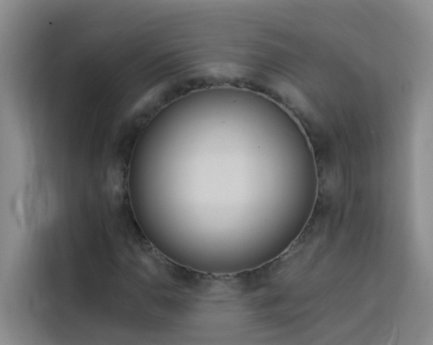 X0000114131110200910081239