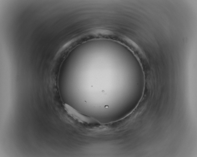 X0000114131112200910081239