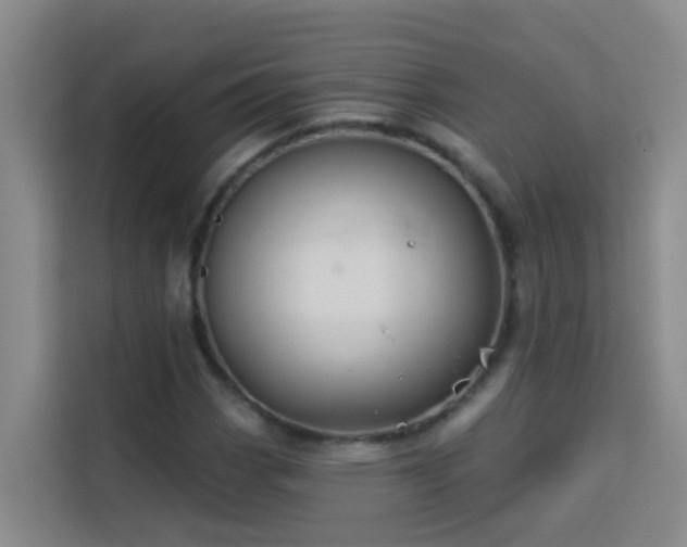 X0000114131113200910081239