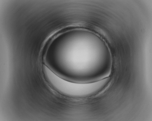 X0000114131114200910081239