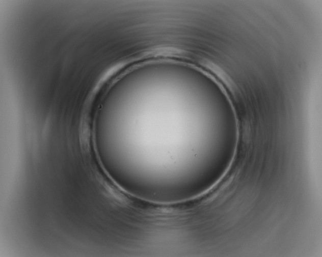 X0000114131115200910081239