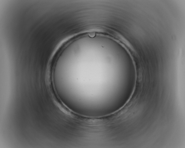 X0000114131116200910081239