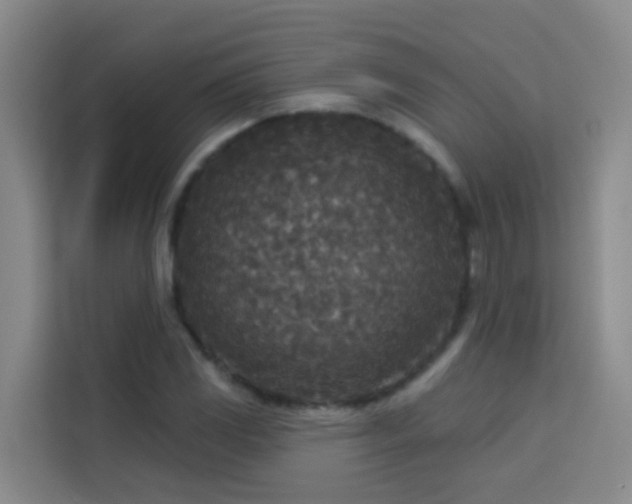 X0000114131117200910081239