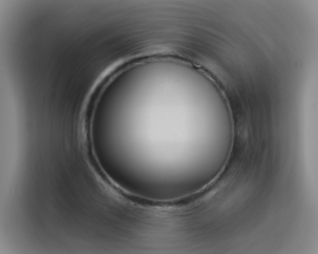 X0000114131118200910081239