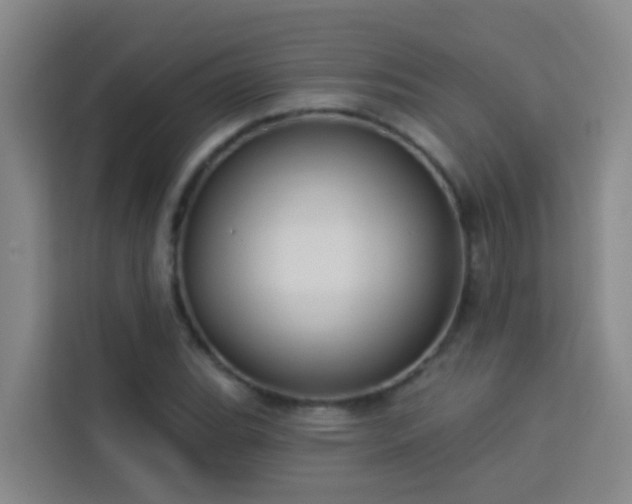 X0000114131119200910081239