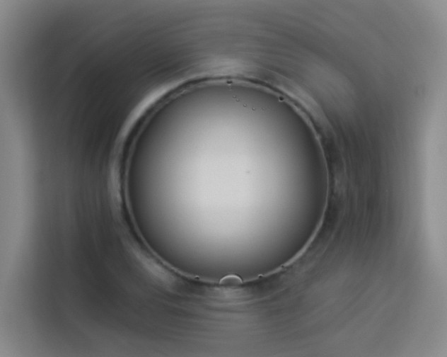 X0000114131120200910081239