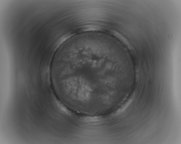 X0000114131121200910081239