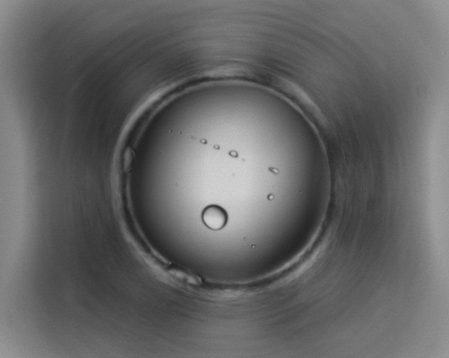 X0000114131122200910081239
