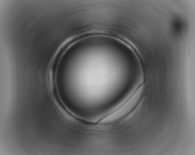 X0000114131123200910081239