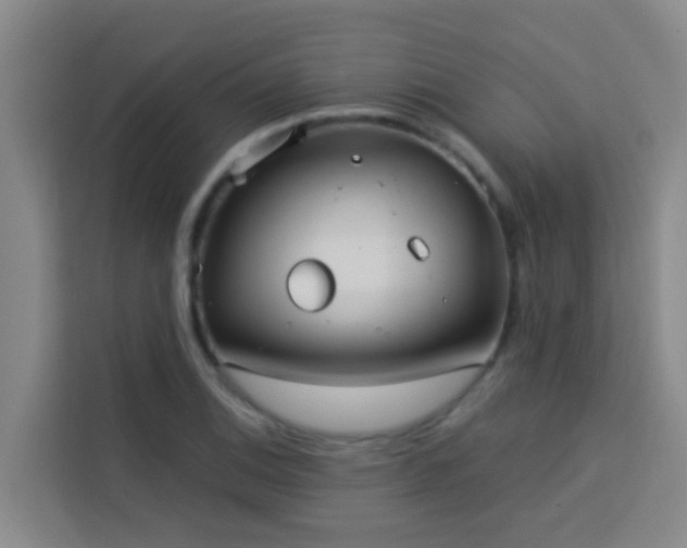 X0000114131124200910081239
